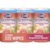 Clorox Scentiva Wipes Bleach Free Cleaning Wipes Tahitian Grapefruit Splash 225 Count 3 Pack - Clorox