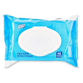 Equate Fresh Scent Flushable Wipes, 48 Count - Equate